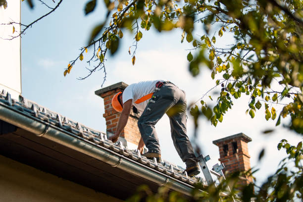 Quick and Trustworthy Emergency Roof Repair Services in Mount Hermon, CA